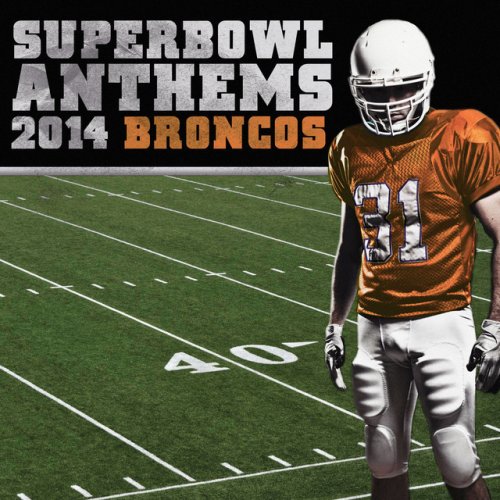 Superbowl 2014 - Broncos