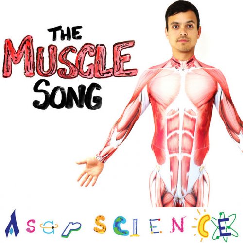 Asapscience The Muscle Song Lyrics Musixmatch