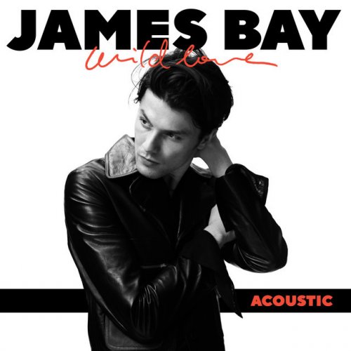 James Bay Wild Love Acoustic Paroles Musixmatch
