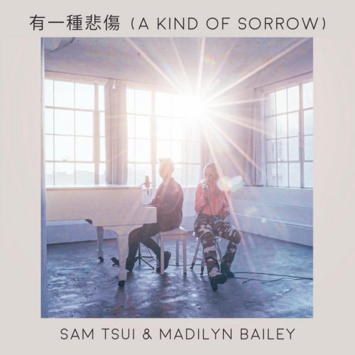 Sam Tsui Madilyn Bailey Alex G Kurt Schneider 有一種悲傷lyrics Musixmatch