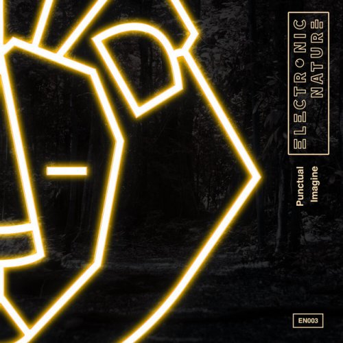 Punctual Imagine Testo Musixmatch