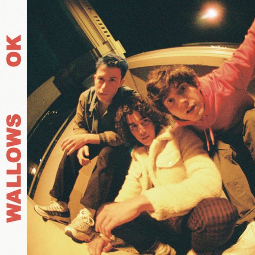 Wallows Ok Paroles Musixmatch