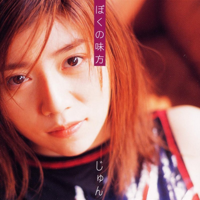 柴田淳 ぼくの味方 Lyrics Musixmatch