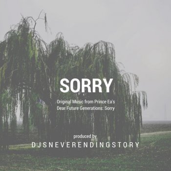 Djsneverendingstory - Sorry (FROM DEAR FUTURE GENERATIONS: SORRY ...