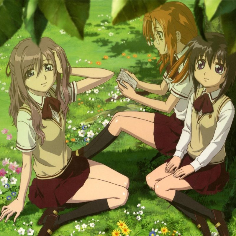 広橋涼 Sunflower Lyrics Musixmatch