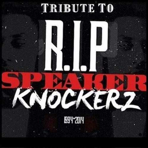 Tribute to Speaker Knockerz