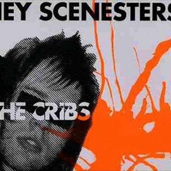 Hey Scenesters Testo The Cribs Testi Canzoni Mtv