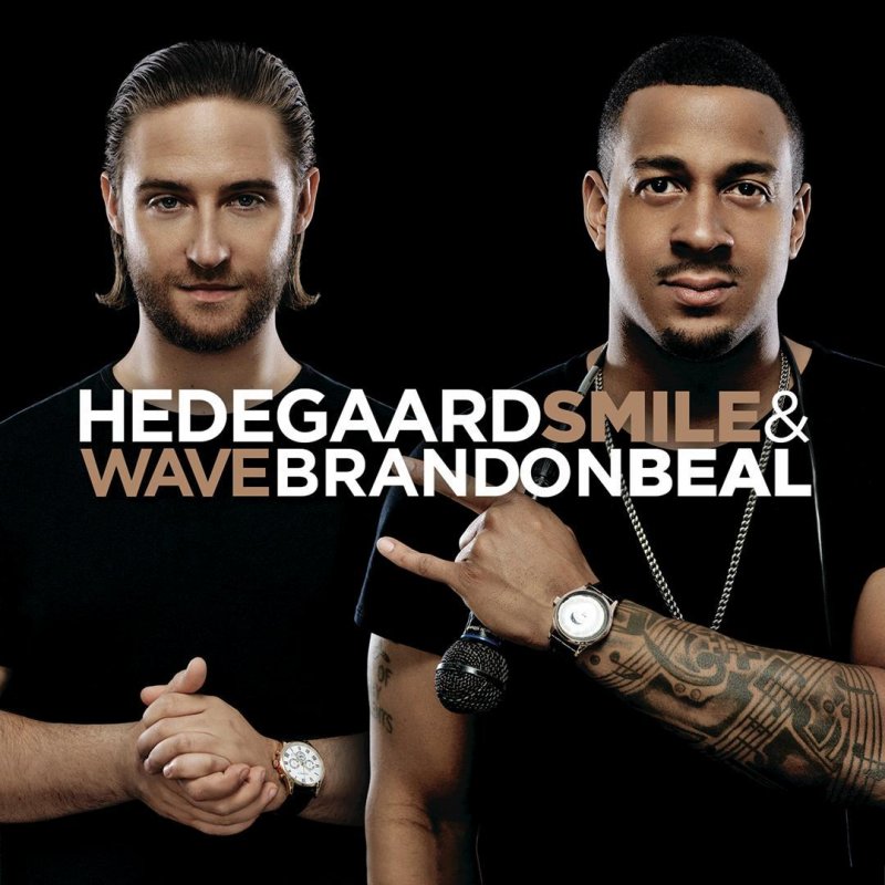 hedegaard feat brandon beal smile wave lyrics hedegaard feat brandon beal smile wave lyrics