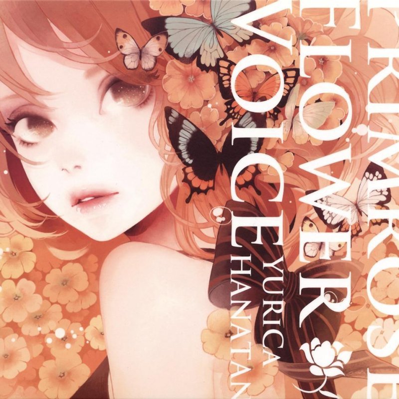 花たん 狐ノ嫁入リ Lyrics Musixmatch 花たん 狐ノ嫁入リ Lyrics Musixmatch
