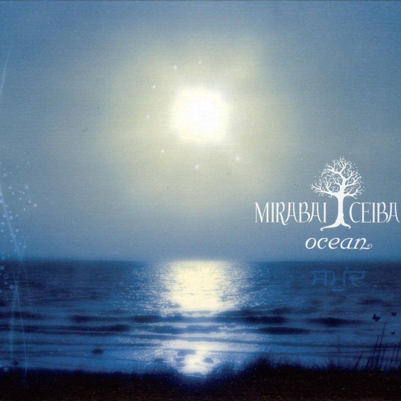 Mirabai Ceiba - El Eterno Sol (Long Time Sun) Lyrics | Musixmatch