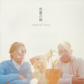 恋愛の樹 By Navy Ivory Album Lyrics Musixmatch