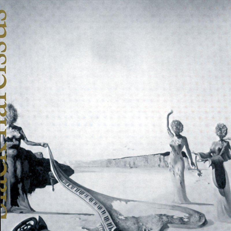 11890857_800_800.jpg
