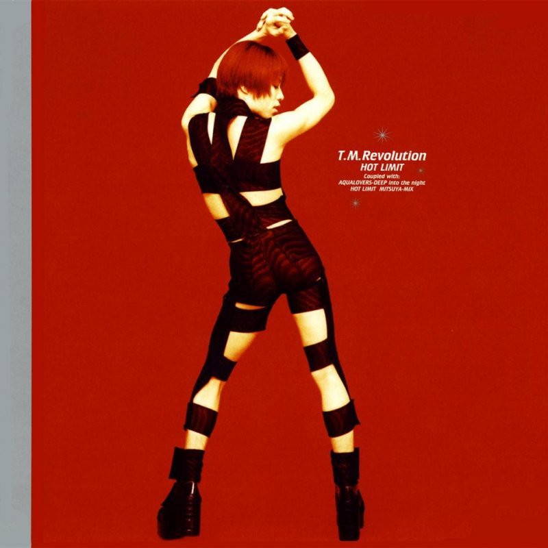 T M Revolution Hot Limit Mitsuya Mix Lyrics Musixmatch