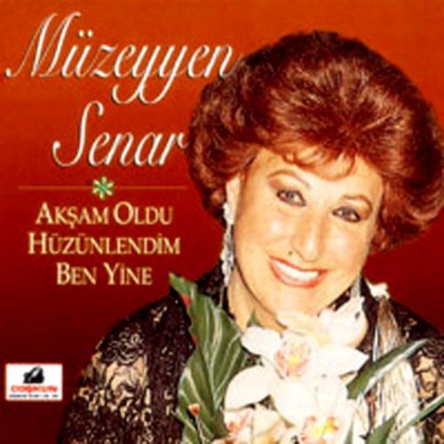 muzeyyen senar pencereden kus uctu lyrics musixmatch