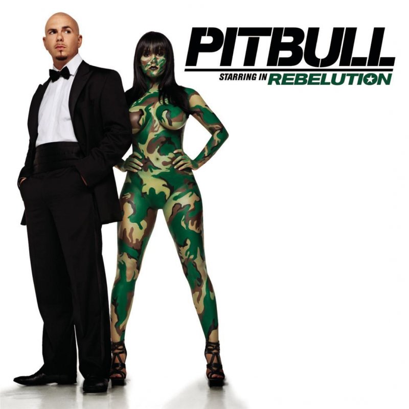 Pitbull Hotel Room Service Songtext Musixmatch