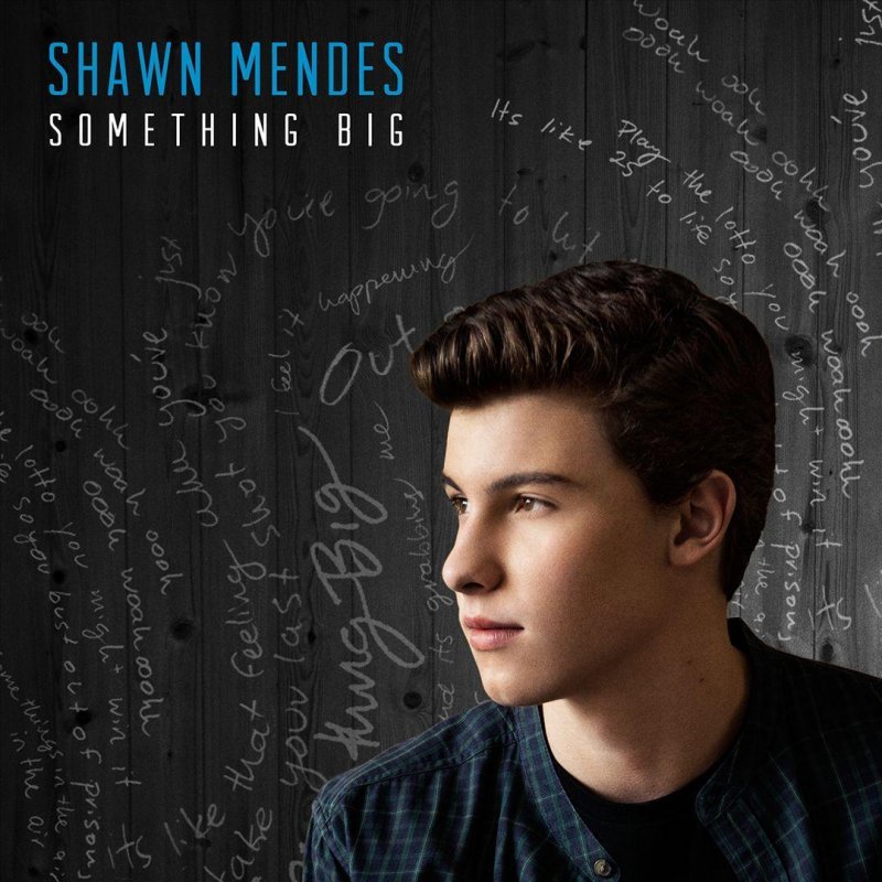 Shawn Mendes Say Something Lyrics Musixmatch