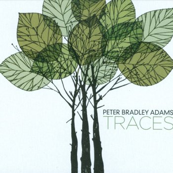 Peter Bradley Adams lyrics | Musixmatch