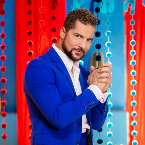 David Bisbal