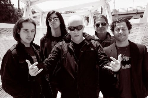 Infected Mushroom